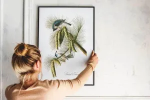 Vintage Bird Art Prints| Bird Poster