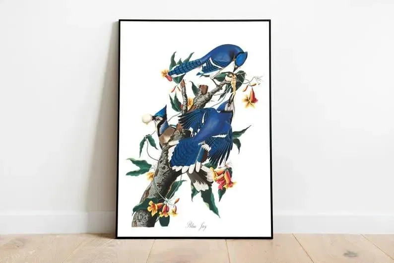 Vintage Bird Art Prints| Bird Poster