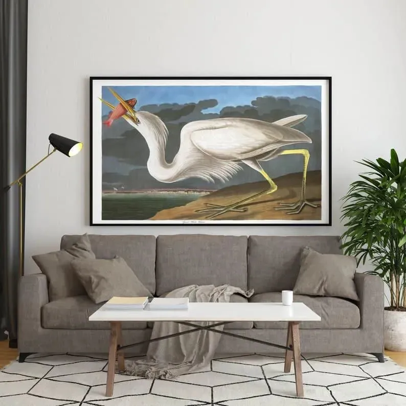 Vintage Bird Art Prints| Bird Poster