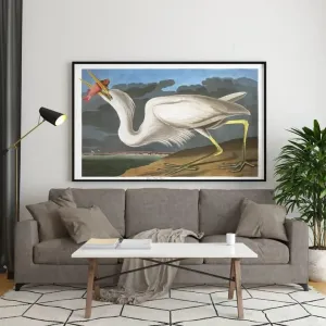 Vintage Bird Art Prints| Bird Poster