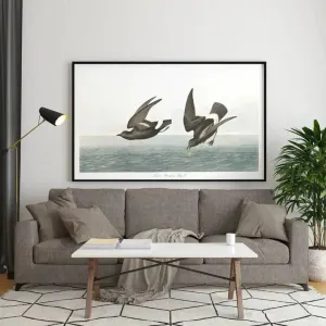 Vintage Bird Art Prints| Bird Poster