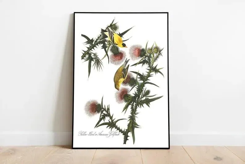 Vintage Bird Art Prints| Bird Poster
