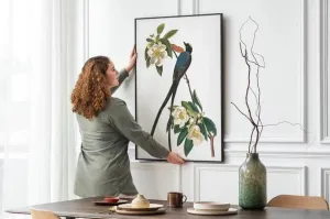 Vintage Bird Art Prints| Bird Poster