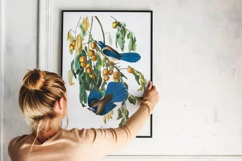Vintage Bird Art Prints| Bird Poster