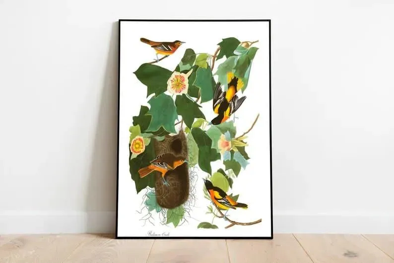 Vintage Bird Art Prints| Bird Poster