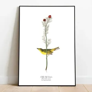 Vintage Bird Poster Art Prints
