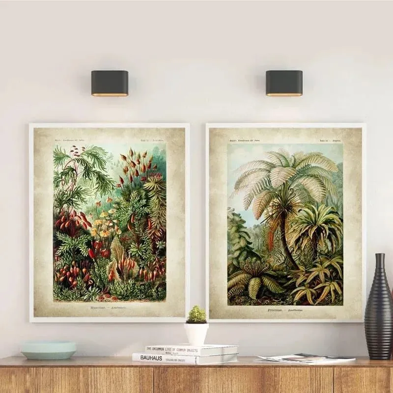 Vintage Ernst Haeckel Biology Botanical Wall Art