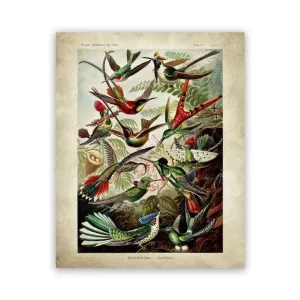Vintage Ernst Haeckel Biology Botanical Wall Art