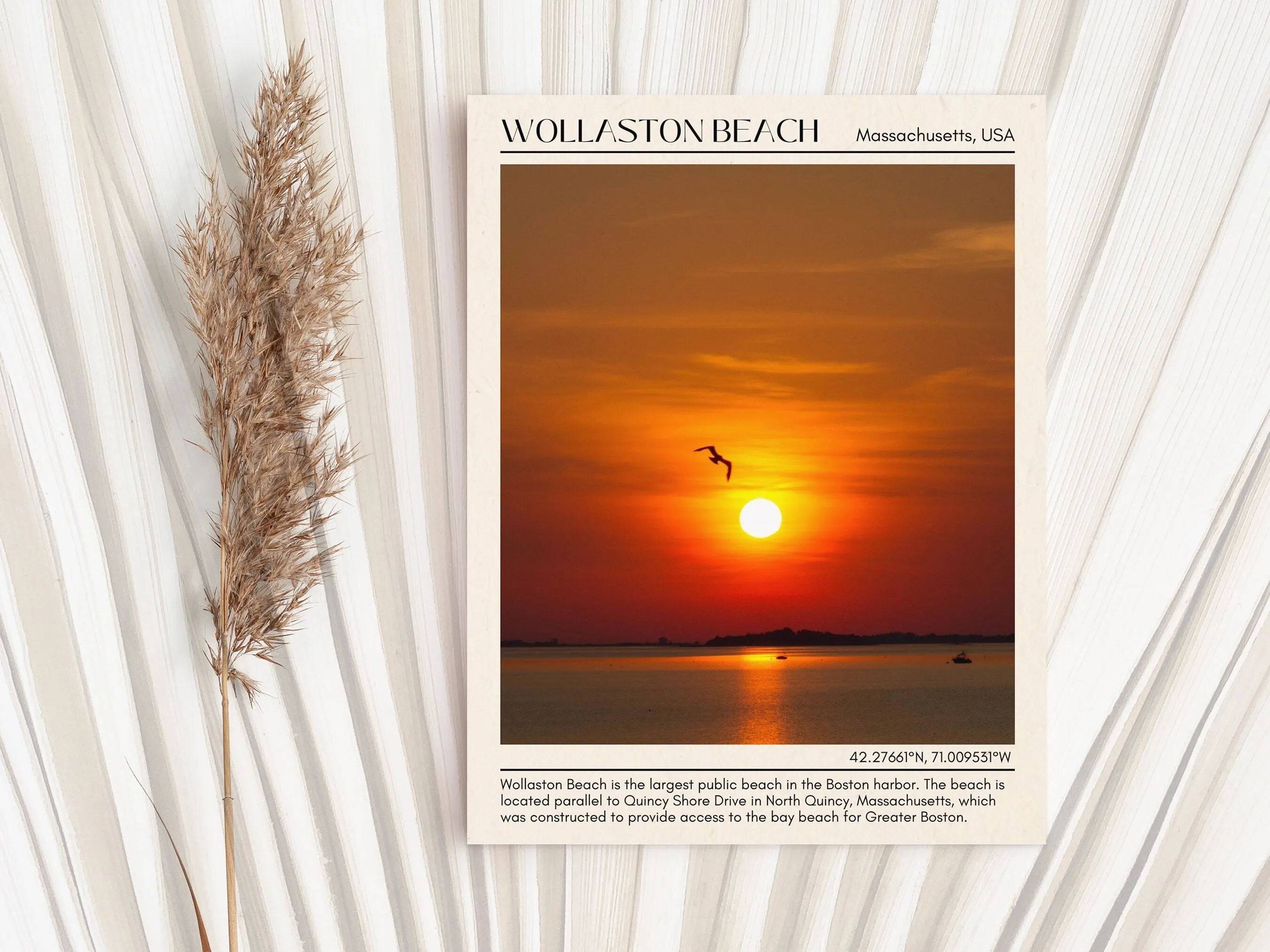 Wallaston Beach Wall Canvas, USA
